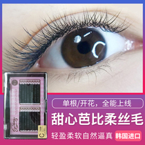 South Korea Eyeswings Sweet Barbie Marble Maggie Grafting Fake Eyelashes Plant beautiful lashes soft and natural 16 rows