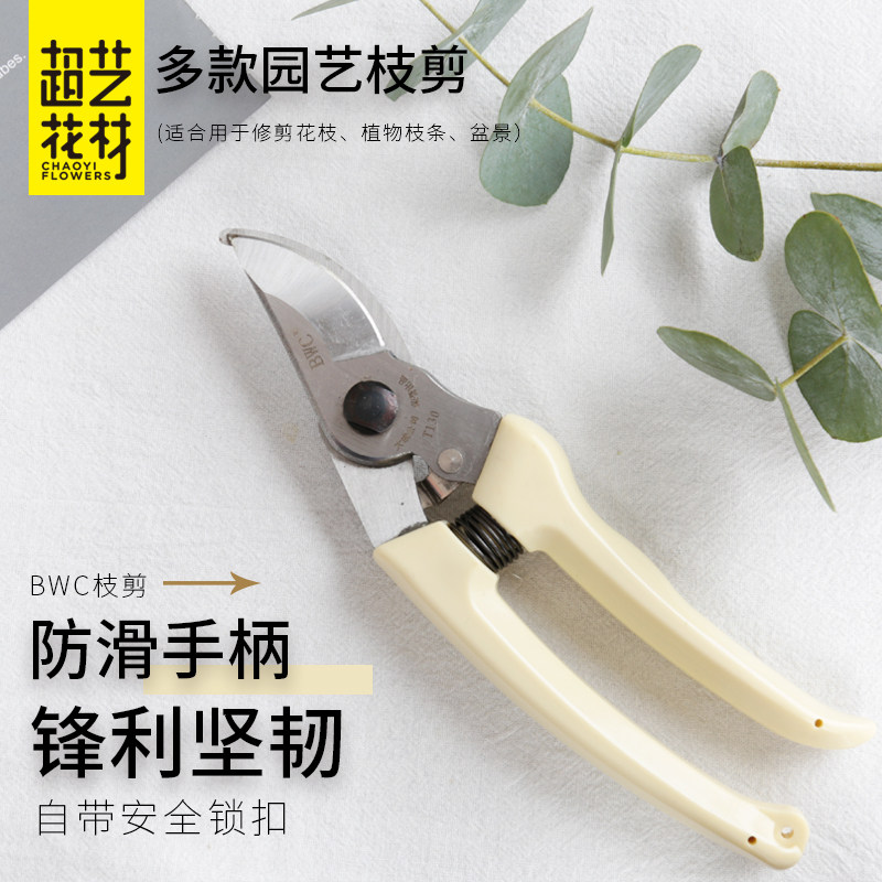 Zhang Koizumi Scissors Branches Cut Flowers Branches Ribbon Cutting Wrapping Paper Scissors Flowers Art Iron Wire Pliers Flower Shop Supplies Fake Flower Cut