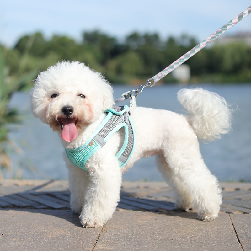 Vest Dog Traction Rope Teddy Small Dog Bib With Bear Breast Cuddling Puppies Puppies Supplies Walk Dog Rope Dog Necklace