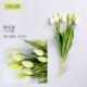 Cao cấp pu tulip mô phỏng hoa ins duy nhất giữ ẩm hoa giả phòng ngủ trang trí phòng khách bữa ăn trang trí máy tính để bàn bó hoa - Hoa nhân tạo / Cây / Trái cây