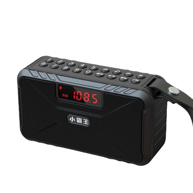 Xiaobawang W21 Bluetooth Mini Speaker Portable Radio Recorder with Card Slot, USB Drive Slot, and Headphone Jack