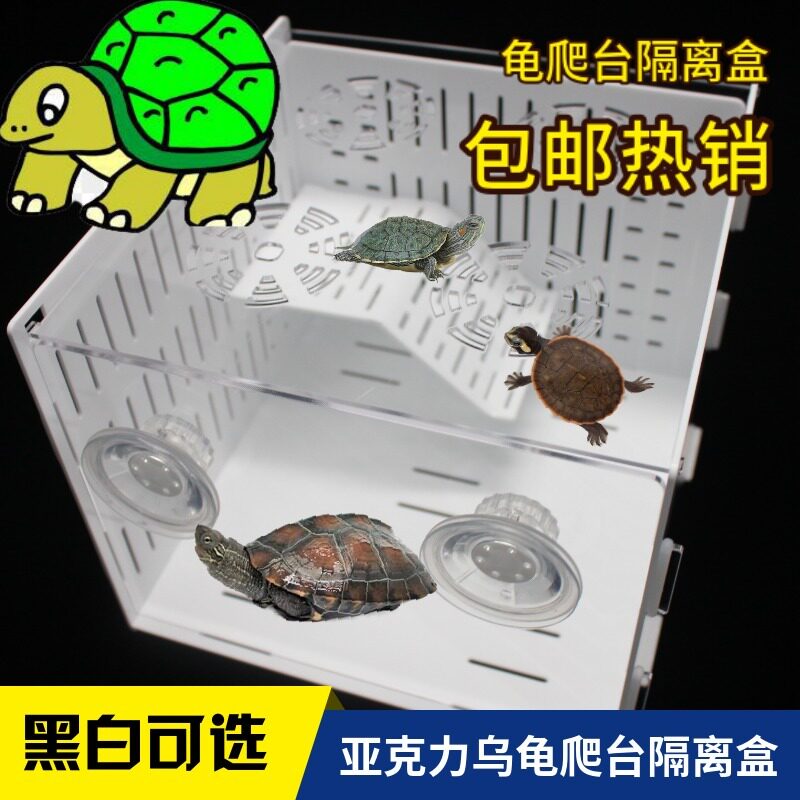Turtle isolation box climbing platform acrylic Brazilian turtle breeding box ink egg red-faced turtle razor turtle basking platform