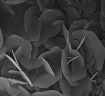 Tungsten disulfide suspension dispersion lubricant release agent low residual lubricant coating hexagonal crystal layered