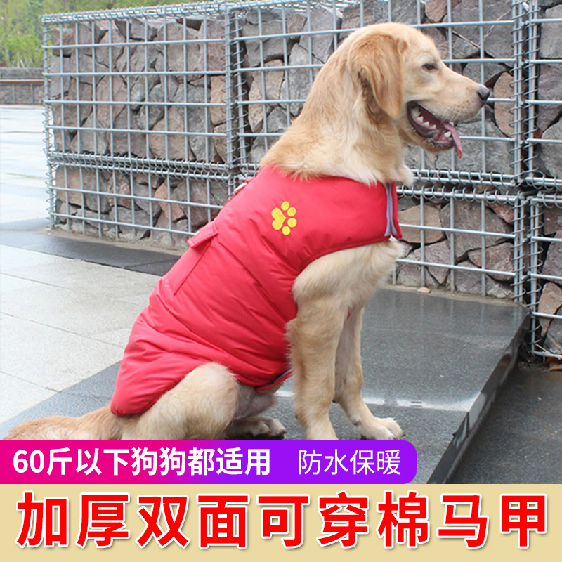 Golden Retriever clothes winter clothes medium-sized dog Labrador warm cotton clothes two-legged clothes small dog Teddy pet cotton clothes