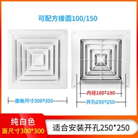 Размер лапши 300x300