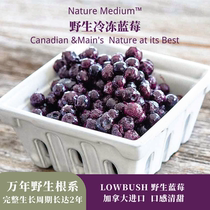 Nature Medium™ North American Canadian Frozen Wild Blueberries 2 Years Ripe shipped by SF Express