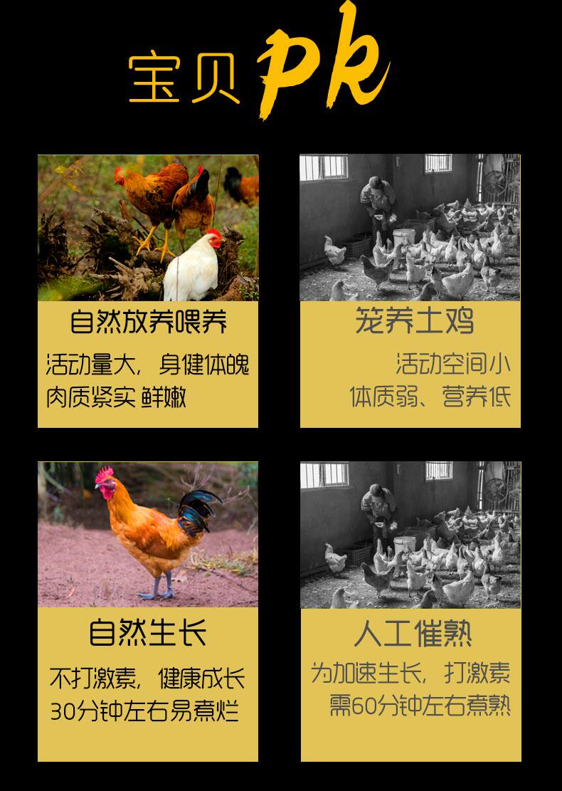 谷开元 盐池滩草鸡 1.5斤*2只 图4