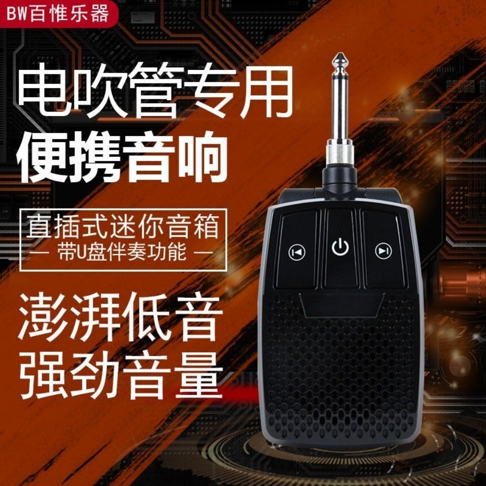 In-line instrument speaker mini-electric blow pipe small sound box
