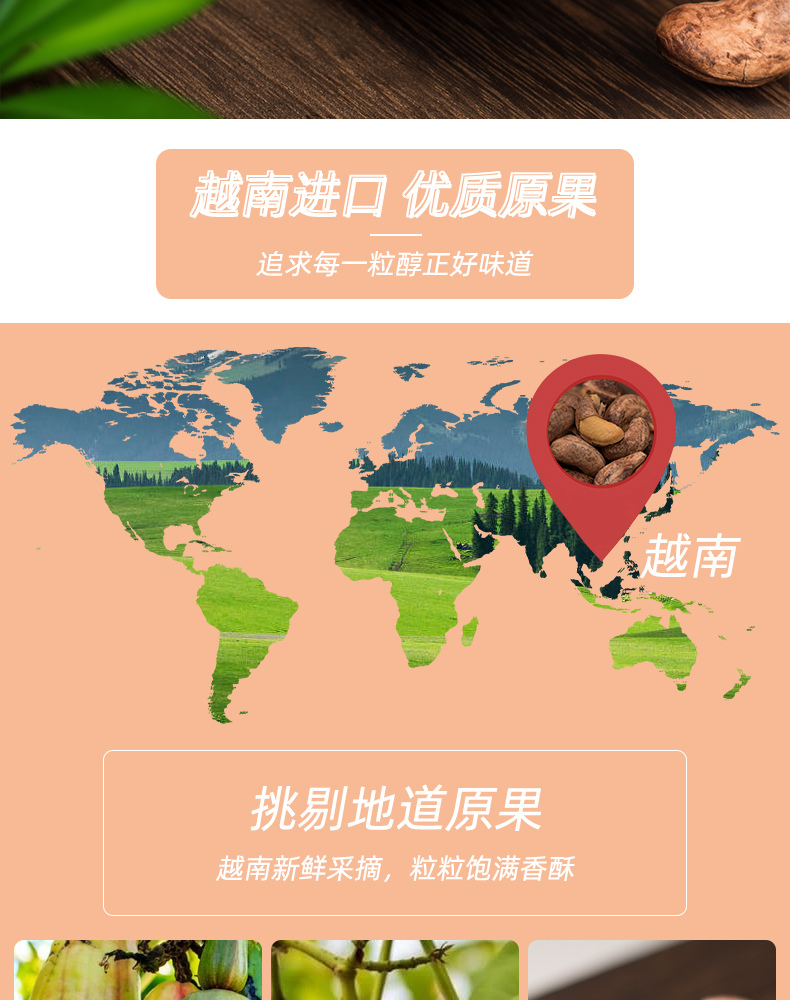 越南进口 特产炭烧带皮大腰果 220g/罐 图2