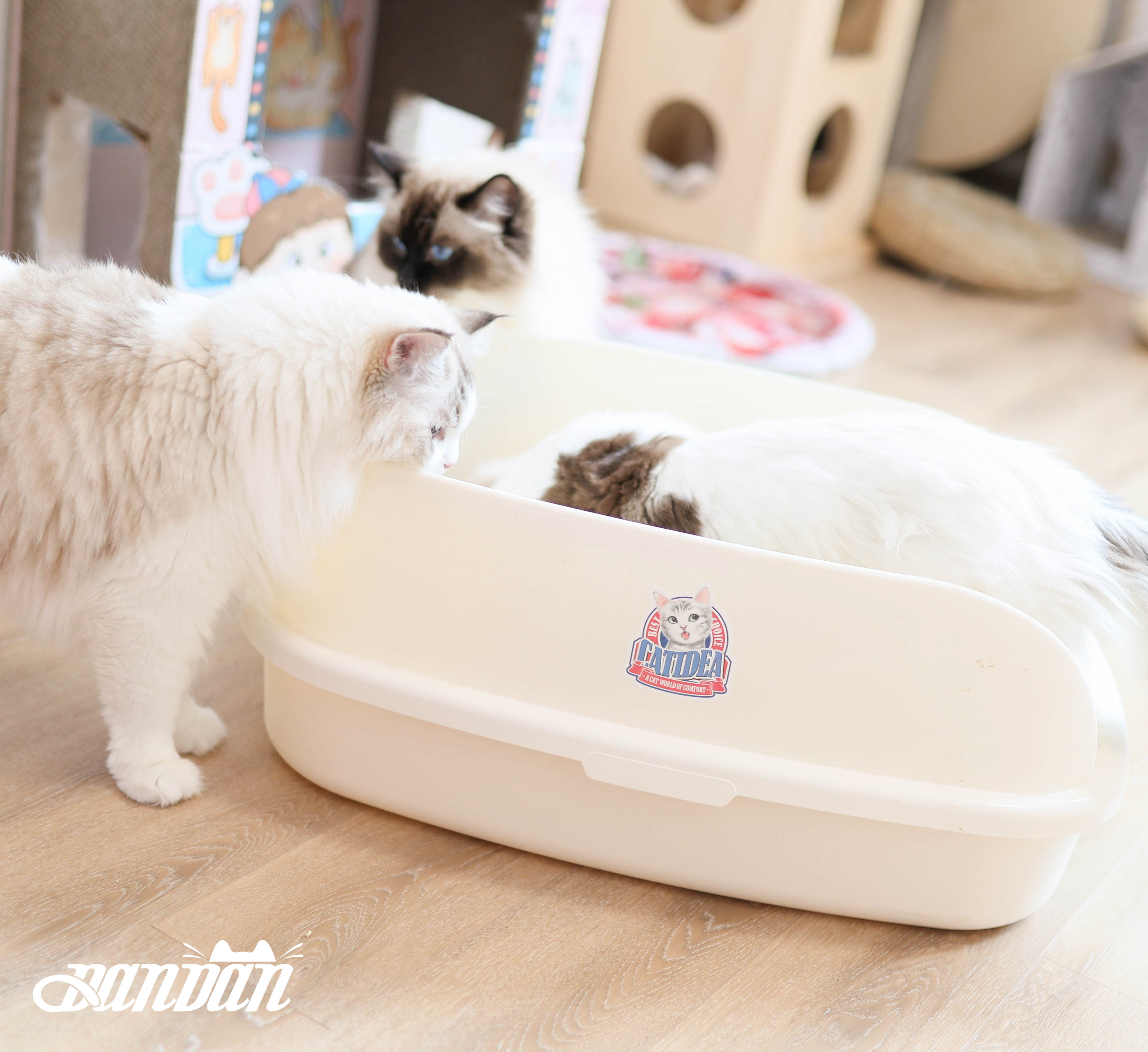 Dandan Vending House Cat Music Palatable Cat Litter Basin Semi-Closed Big Cat Toilet Splash Pet Cat Litter Basin