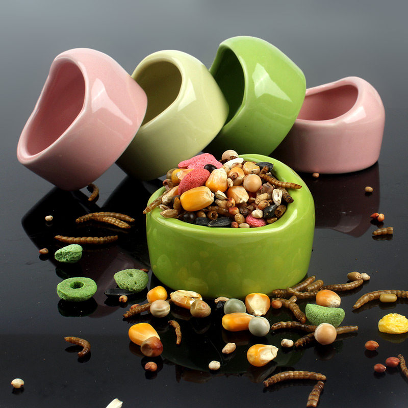 Hamster Ceramic Food Basin Anti-Overturning Food Bowl Honey bag Flowers Branches of the Blossom Branch of the Flower Branch of the Flower Branch of the Flower Branch of the Blossom Spring