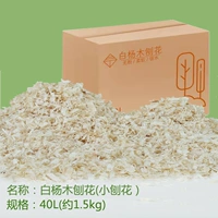 Белая тополь