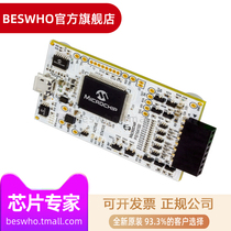 MICROCHIP MPLAB Snap PG164100 economical PIC burn debug emulator spot