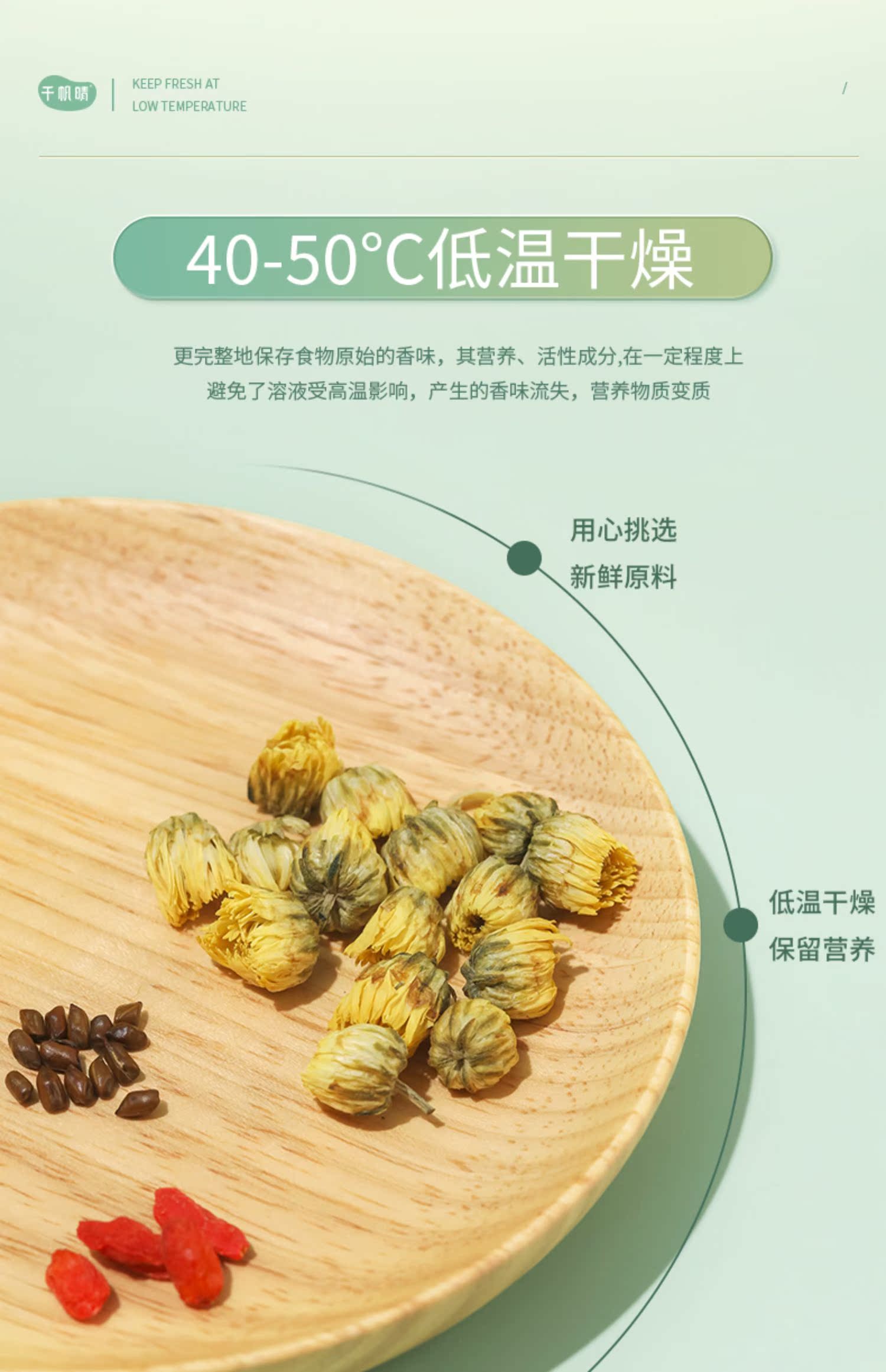 千帆晴胎菊枸杞茶决明子菊花茶枸杞子冷泡茶