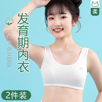 Pure cotton underwear girls high school students and girls in the development of girls girls vest big girls bra summer