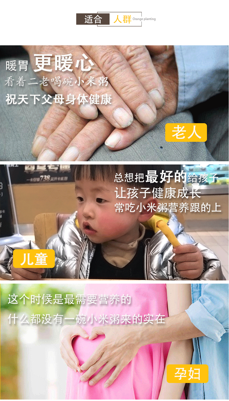 曲侯 胚芽黄小米 500g*5包 图6