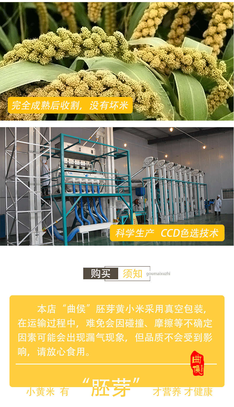 曲侯 胚芽黄小米 500g*5包 图9