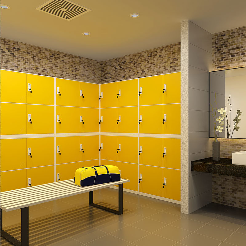 Iron Leopard Color Locker locker Cupboard Short Cabinet Fitness Room Home Storage Cabinet Factory Shoe Cabinet Bag cabinet Tin