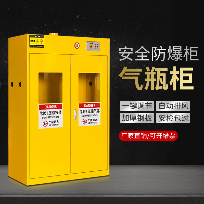 All-steel gas cylinder cabinet Double bottle single bottle gas tank Liquefied gas cabinet leak alarm fire explosion-proof cabinet Liquefied gas bottle