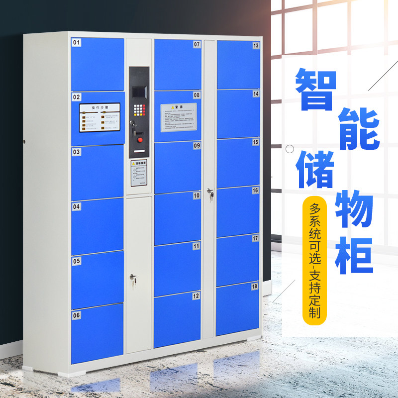 Iron Leopard Supermarket 18 Door Electronic Disposal Cabinet Smart Containing Cabinet Mall Deposit Cabinet Infrared Barcode Swipe Password
