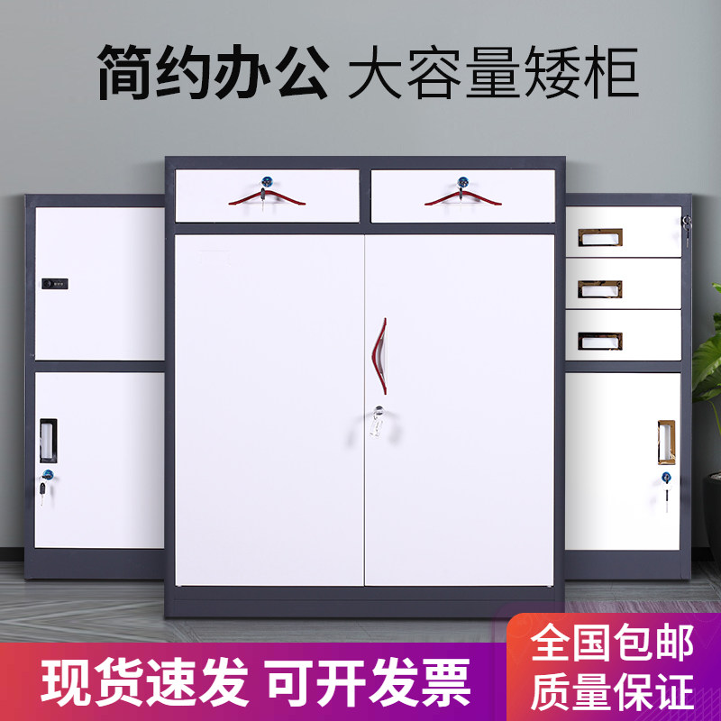 Iron Leopard Office Filing Cabinet Information Cabinet File Cabinet Containing Cabinet Grey White Iron Sheet More Wardrobe Iron Containing Cabinet With Lock