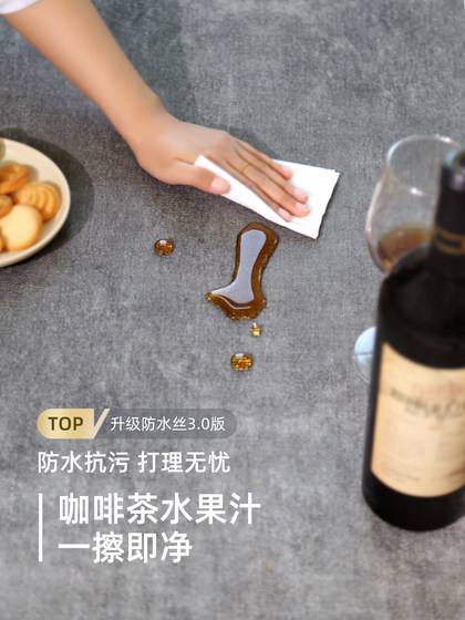 地毯客厅2025新款轻奢高级感房间卧室免洗可擦家用沙发茶几地垫大