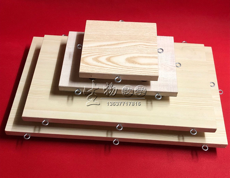 Rabbit Anatomy Table Mice Surgery Table Rat Anatomy Plate Mouse Fixed Animal Surgery Table Frogboard