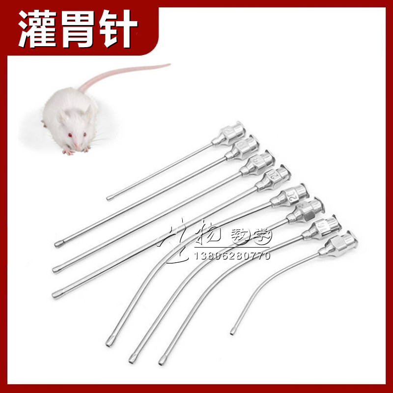 不锈钢小鼠灌胃针 大鼠灌胃针 裸鼠灌胃针 老鼠灌胃器 动物灌胃管