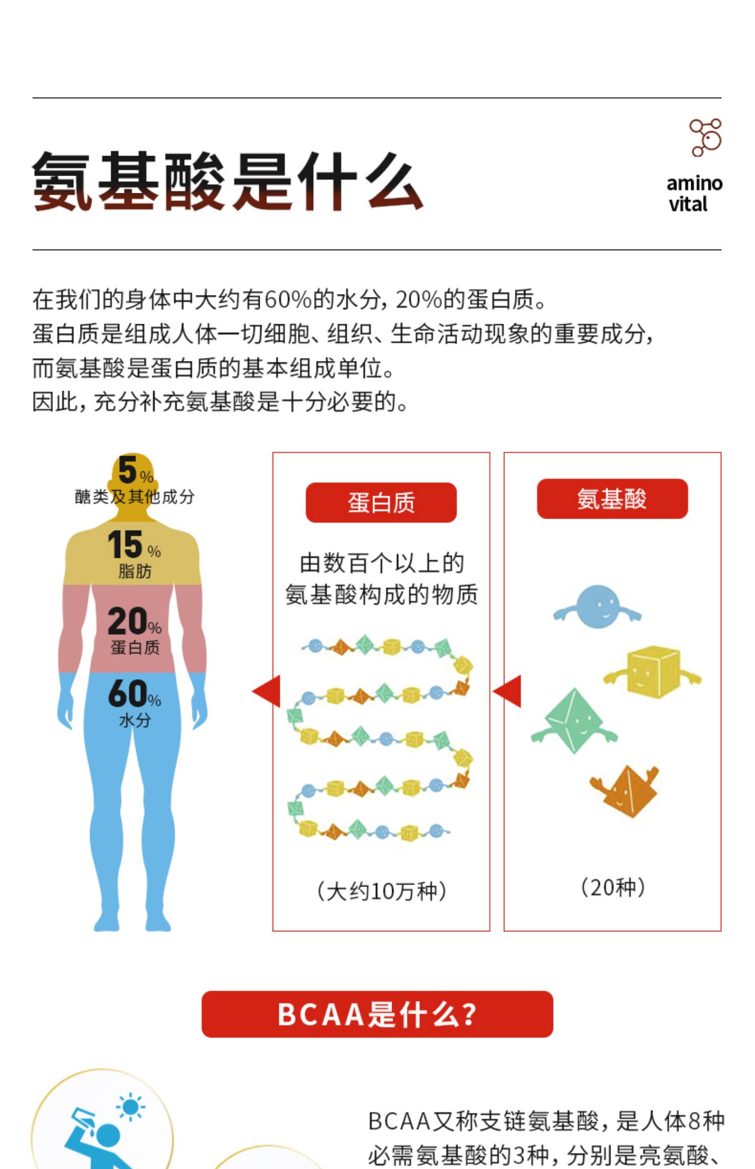 味之素安维途辣椒素氨基酸26支