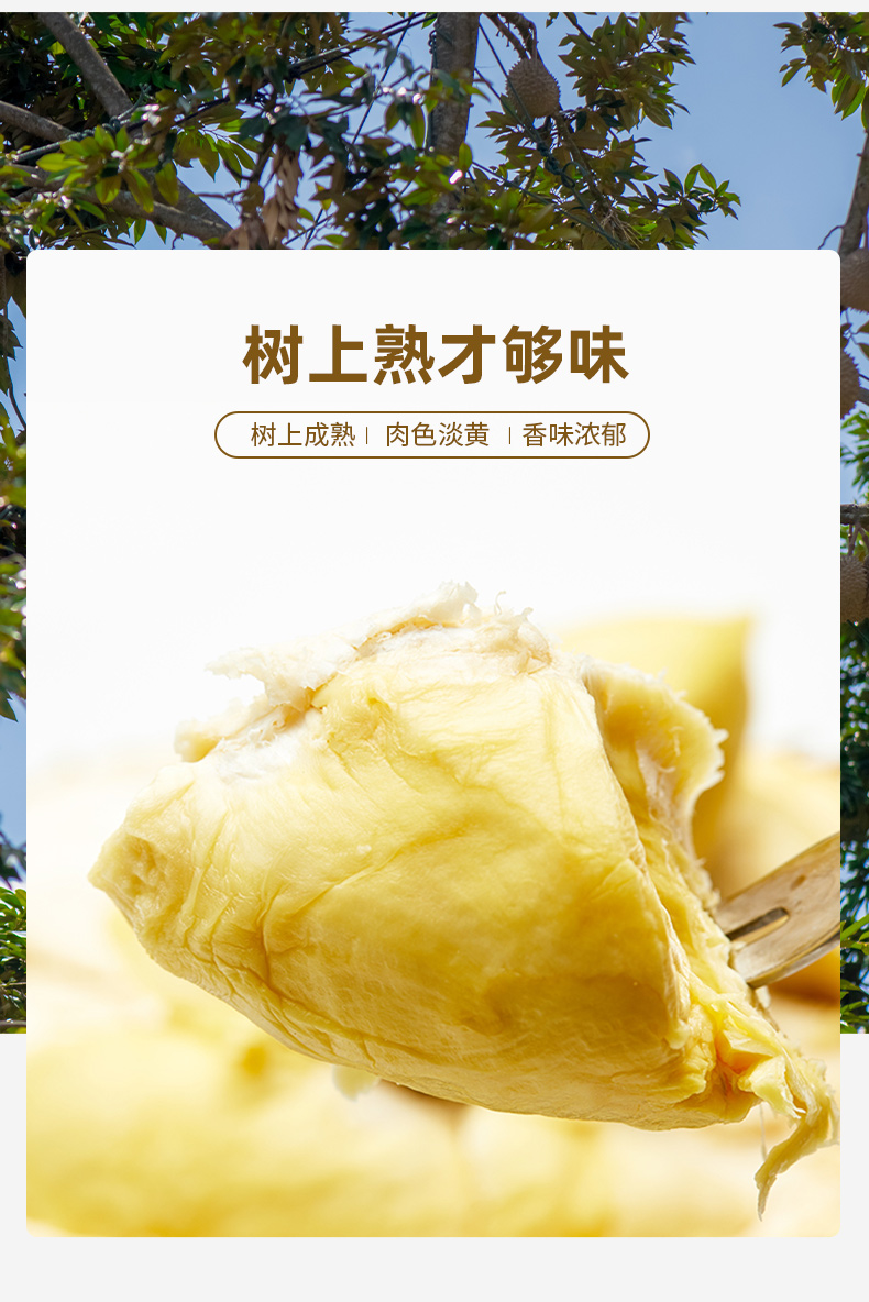 百果园 泰国金枕头冷冻树熟榴莲肉 250g*3盒 图4