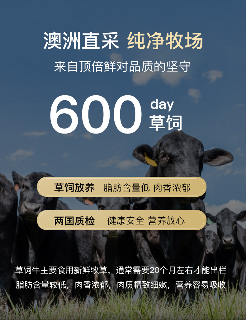 澳洲进口原切 顶倍鲜 菲力牛排套餐 10片/1000g 图5