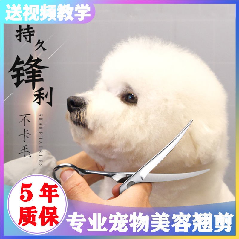 Pet Cut Beauty Cut Dog Teddy Cut Dog Hair Fur Tool Suit Straight Cut Teething Cut Tooth Cut Cut Cut Short