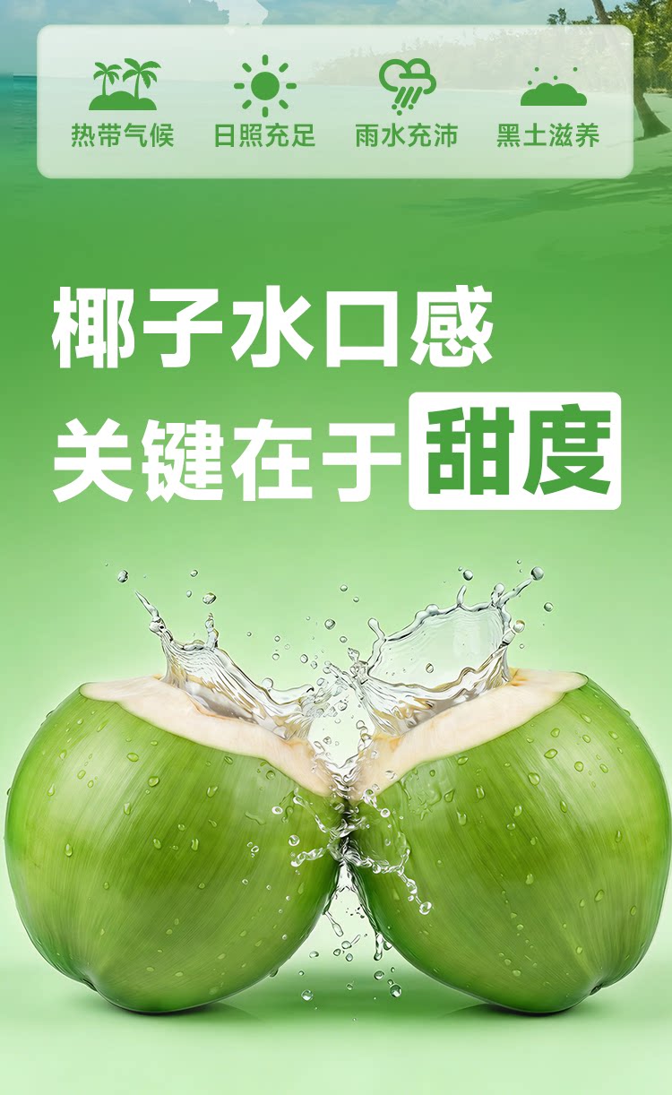 安享好物 安享B级果汁-均瑶纯实椰子水  