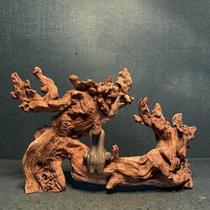 Natural gold silk red sunken wood fish straw cylinder made of scenery tree root carving art tea table Xuanguan Decorative Pendulum non-cuckoo root Purple Grapefruit