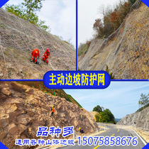 Active side slope protective net mine Greening snare flexible highway guard slope solid soil mountain body landslide falling stone safety net