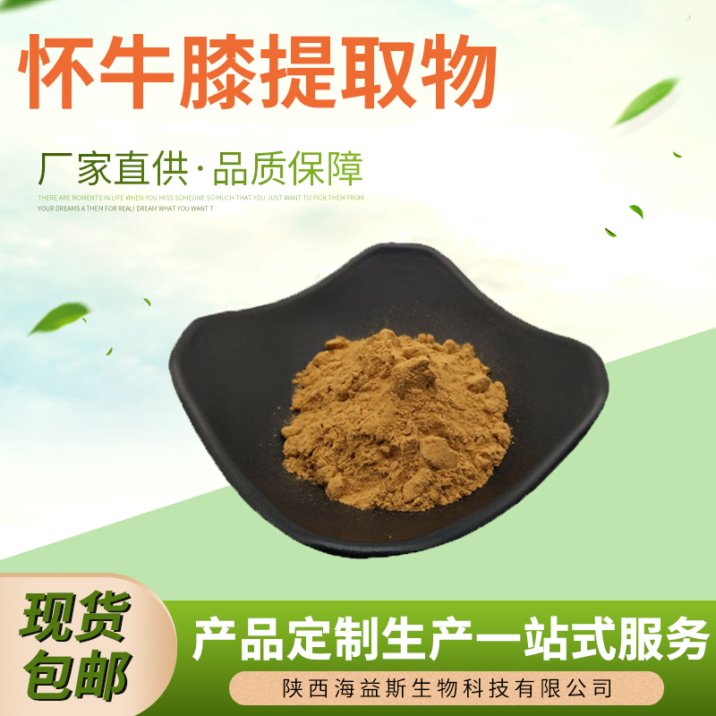 怀牛膝提取物30:1 喷雾干燥 怀牛膝水溶粉 怀牛膝浸膏浓缩粉现货