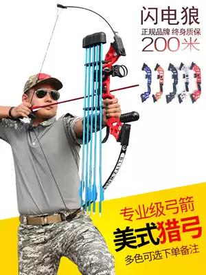 New Lightning Wolf Entry Composite Backbow Arrow Set Shooting Outdoor Sports Alloy Traditional Straight Arch Artlet
