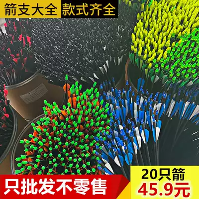 Glass fiber arrow reverse bow traditional composite bow and arrow a dozen arrows only carbon arrows mixed carbon pure carbon deflection archery practice arrow branch