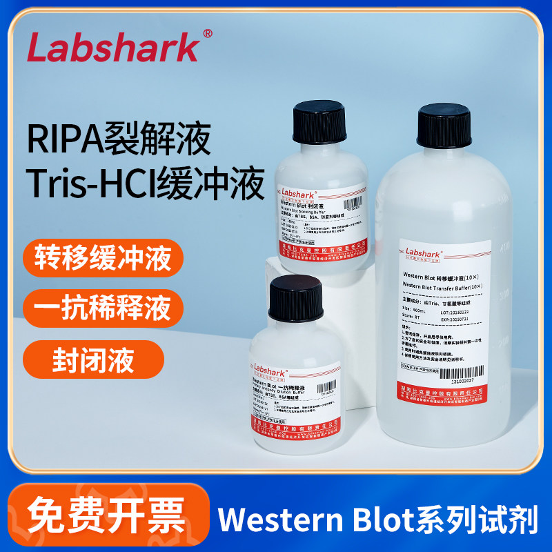 Labshark WB实验试剂RIPA裂解液抗稀释液封闭Tris-HCl缓冲液源叶