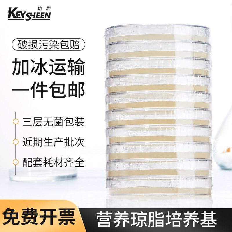 Bikman Bionutrient Agar Plate 9cm Blood Tablet Tsa Sedimentation Bacteria Petri Dish Microbial Culture Medium Laboratory That Is to cultivate Pindish aquatic total bacteria plate 90mm type finished product bacteria 90mm