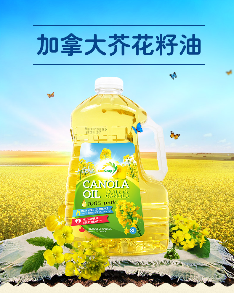 加拿大总统推荐 SunCrop 加穗满 双低芥花籽油 3L*2瓶桶 图1