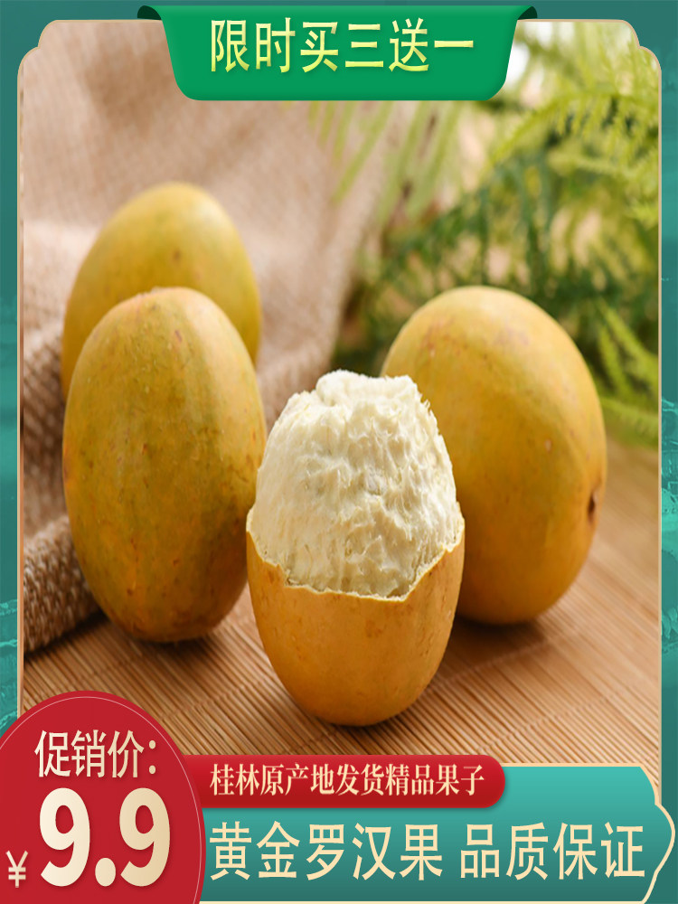 Yongfu Arhat Fruit Tea Gift Box Dehydrated Arhat Fruit Substitute Candy Dry Independent Pack Camellia Herbal Fruit Tea