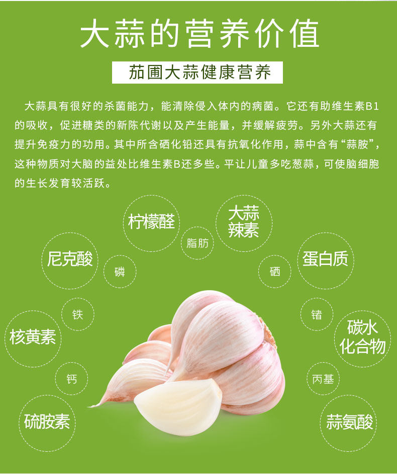 5斤大个头白皮干蒜 图2