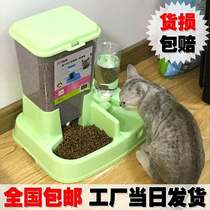 Bowl Pet Bowl Cat Bowl for Teddy Dog Bowl Cat Eating DOUBLE BOWL AUTOMATIC DRINKING WATER DOG BOWL AUTOMATIC FEEDER DOG FOOD BASIN