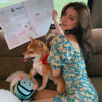 2020 Summer new womens big flower bubble sleeve skirt temperament goddess fan clothes thin dress