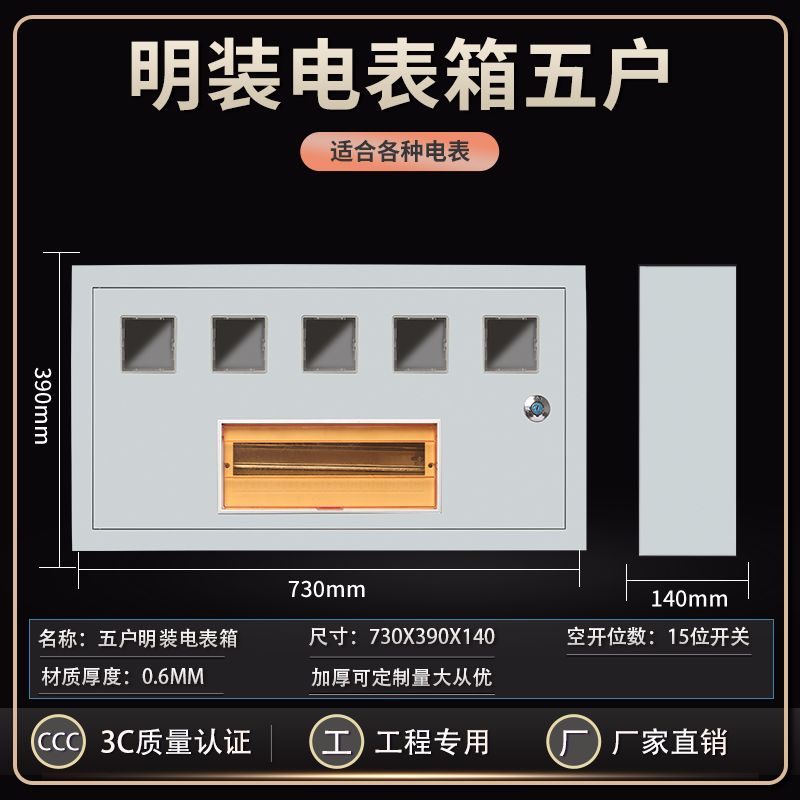 Surface-mounted electric meter box for five households and five households with plug-in card rental housing shell box waterproof outdoor iron 220V single-phase