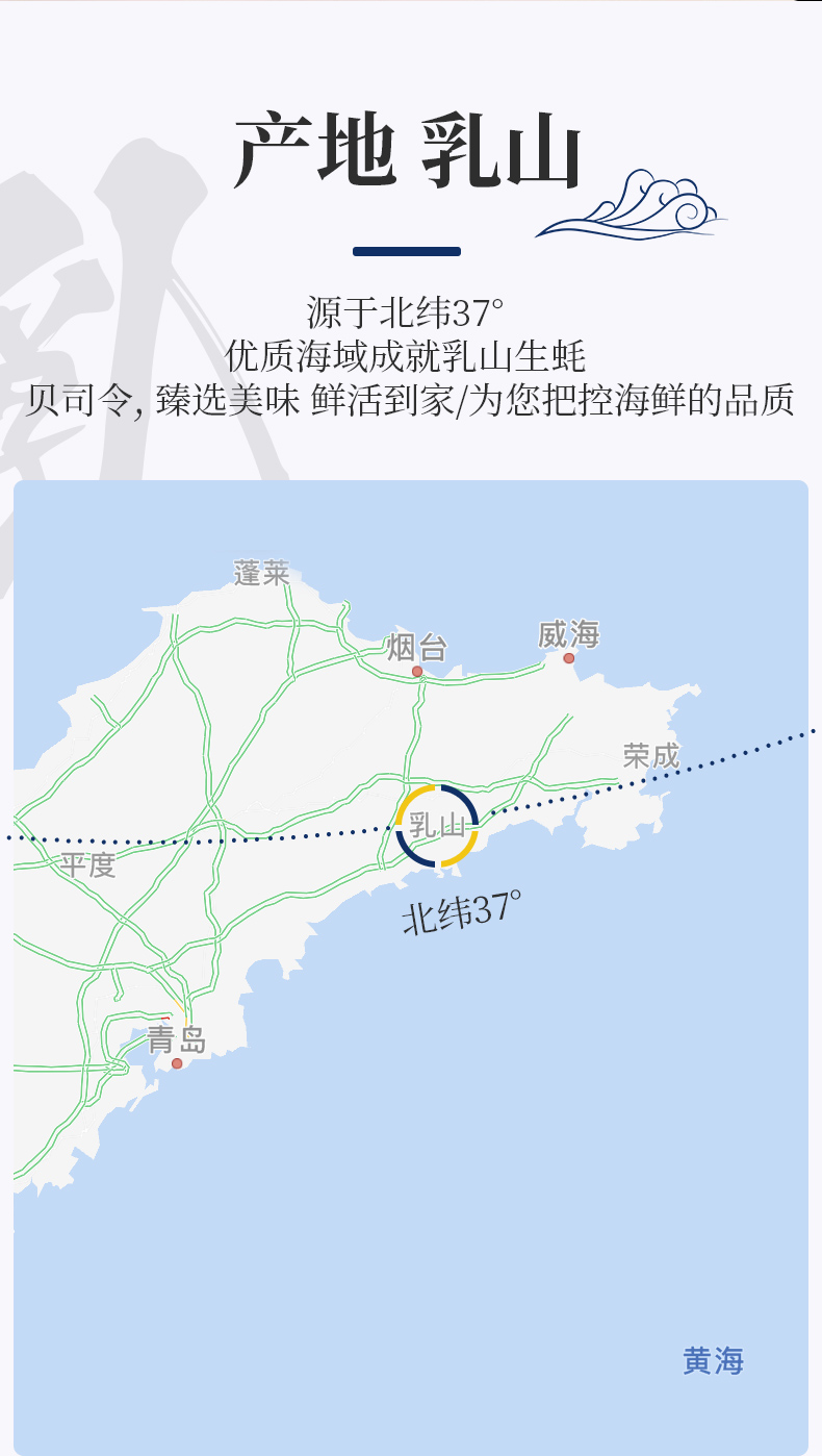 男人的加油站  贝司令 乳山牡蛎鲜活生蚝 5斤 图2