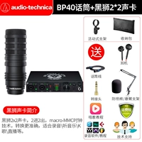 BP40 микрофон+черный лев 2*2 звуковая карта