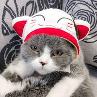 Счастливая кошка