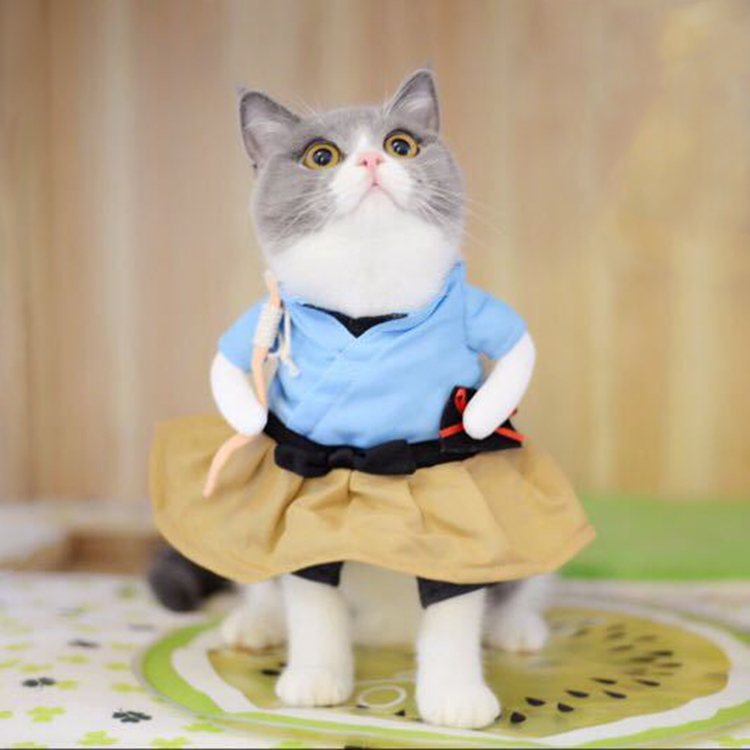 Lắc cùng kiểu Pu Tailang mèo con vui vẻ quần áo chó nhỏ quần áo chó cưng quần áo hai chân ngộ nghĩnh - Quần áo & phụ kiện thú cưng 	áo dành cho mèo con	
